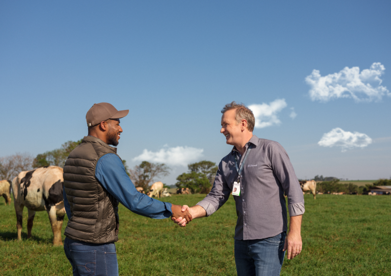  Empréstimos e financiamentos para você! 