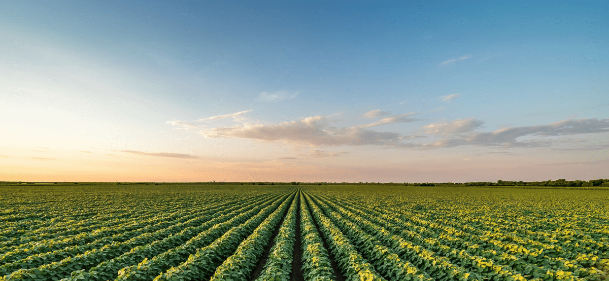 Fortaleça sua produção em 2026 com investimentos agro estratégicos
